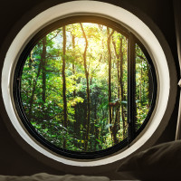 Occhio che cattura l'attenzione: oblò della foresta. Carta da parati panoramica.