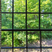 Un colpo d'occhio Carta da parati panoramica Forest Window 2