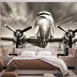 Carta da parati panoramica aereo