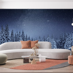 Carta da parati per il salotto