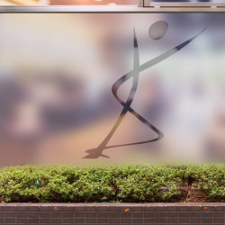 Fisioterapista Logo 2 Privacy Pellicola per vetri