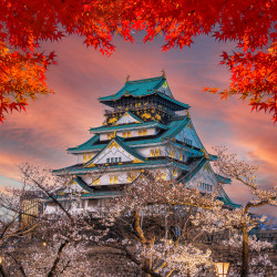 Tempio giapponese Carta da parati panoramica Tempio giapponese Carta da parati panoramica