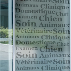 Negozio di articoli per veterinari Privacy Pellicola per vetri