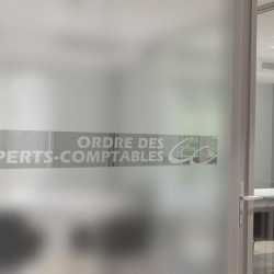 Dottore commercialista 2 Privacy Pellicola per vetri