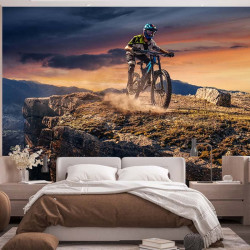 Carta da parati panoramica VTT