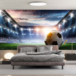 Carta da parati panoramica Calcio 2