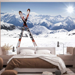 Ski Carta da parati panoramica