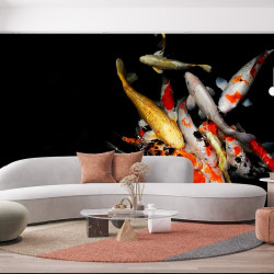Pesce Carpa koi Carta da parati panoramica