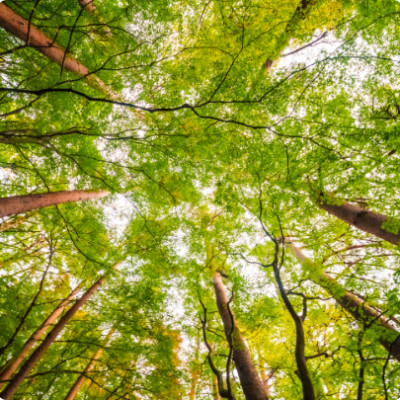 Scienza per la protezione del clima