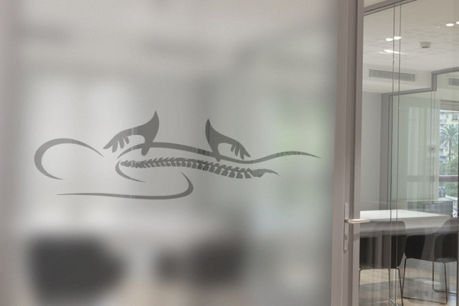 Osteopatia Fisioterapia Privacy Pellicole per vetri