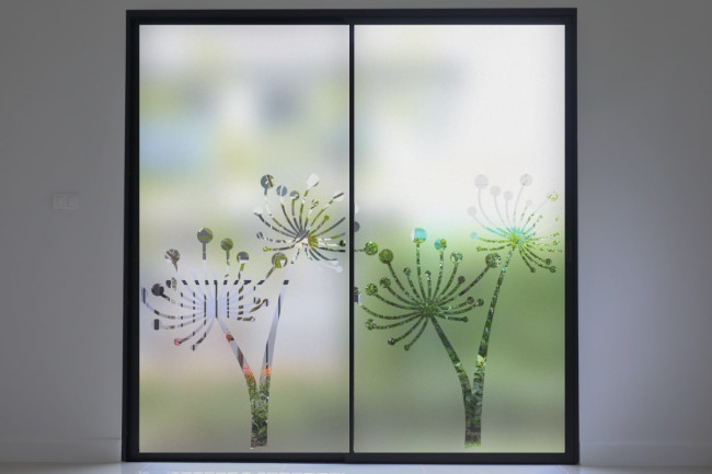 Dandelion Pellicola per vetri Privacy
