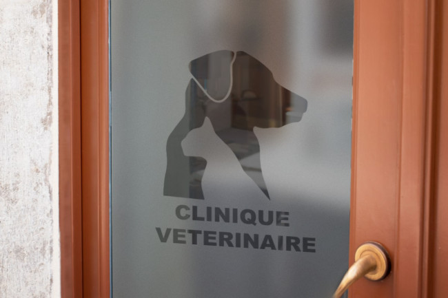 Clinica veterinaria Logo Privacy Pellicola per vetri